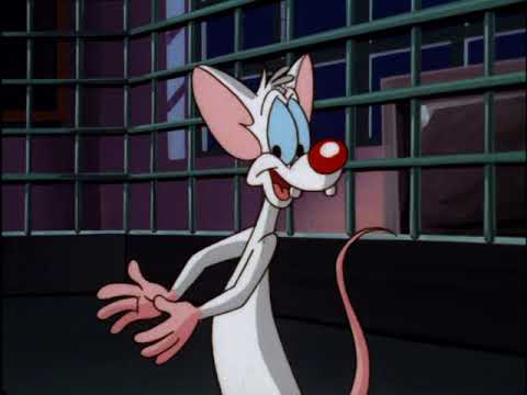 Pinky and The Brain Volume 3 DVD Trailer