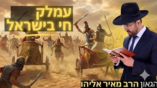 הרב מאיר אליהו | מחיית עמלק | מוסאיוף - ה׳תשפ״ו (הרב מאיר אליהו) - התמונה מוצגת ישירות מתוך אתר האינטרנט יוטיוב. זכויות היוצרים בתמונה שייכות ליוצרה. קישור קרדיט למקור התוכן נמצא בתוך דף הסרטון