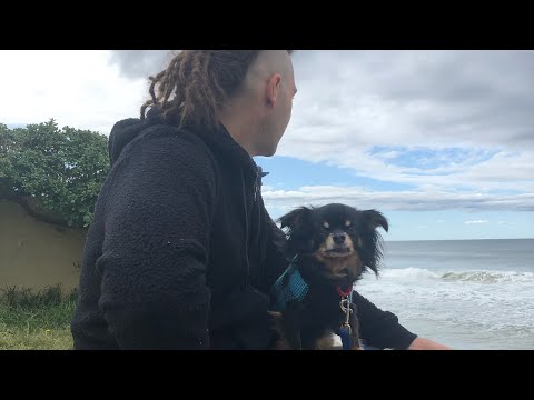 Stripping out the V berth -Sailing Mr Oscar -Ep05