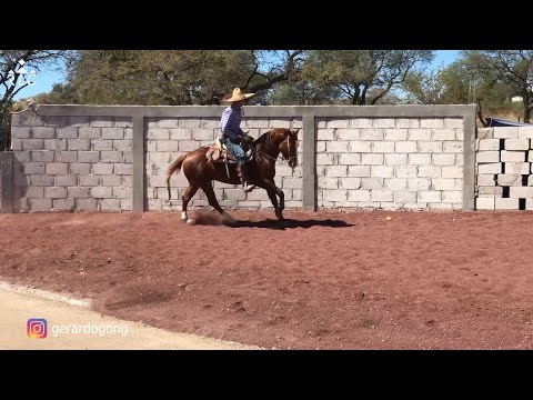 E2P3 - Nuevos Talentos En Cala