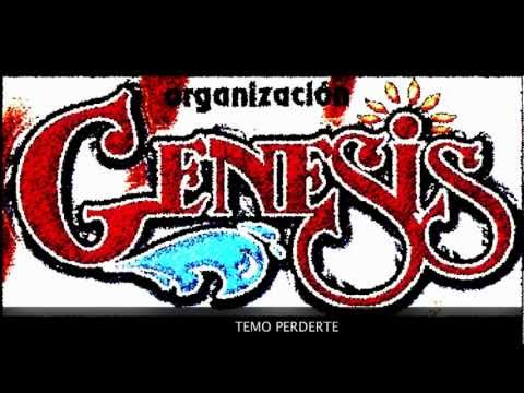 ORGANIZACION GENESIS - TEMO PERDERTE