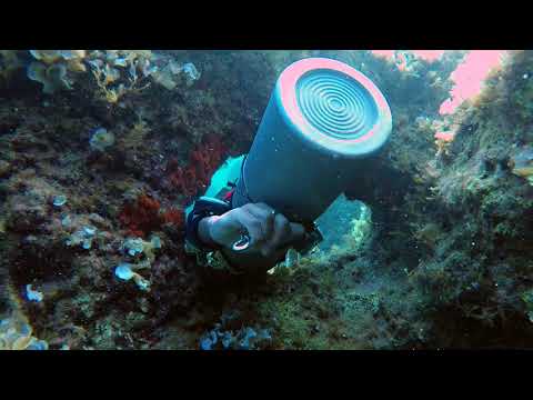 12 year old Sidemount Diver