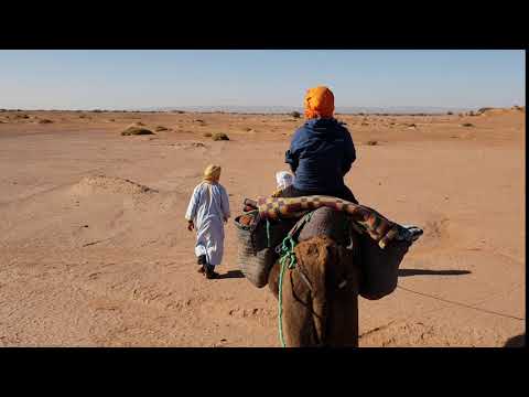 Jízda na velbloudovi