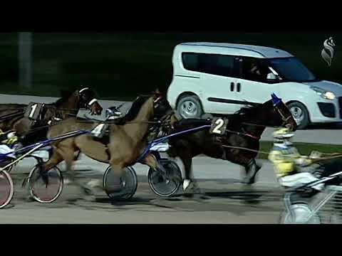 Aversa trotto 12 Febbraio 2022 - 7° Corsa