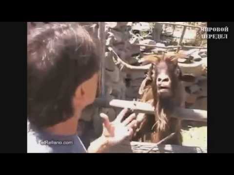 Мировой передел 69. Обзор за неделю с 22.04.13 по 28.04.13