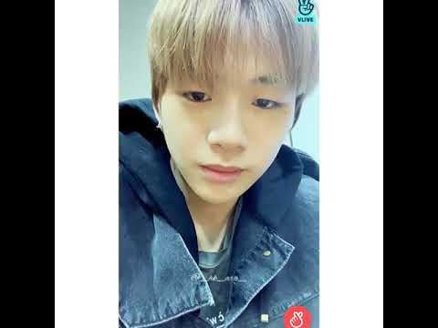 Kang Daniel describes his Cats - VLIVE Cut