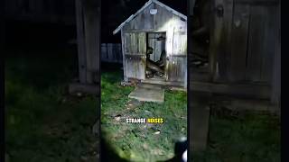 Download lagu He Heard Something Moving 😨👂 #shorts mp3