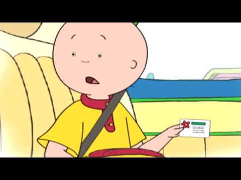Caillou's ID Card | Caillou Cartoon