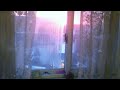 Jacal Resonance Midwest Emo Version Slowed