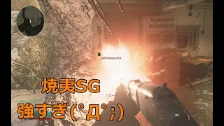 わふーの実況動画３（COD WW2）