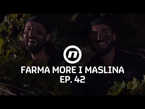 Tomo i Silvio špijuniraju - Epizoda 42 | Farma More i Maslina