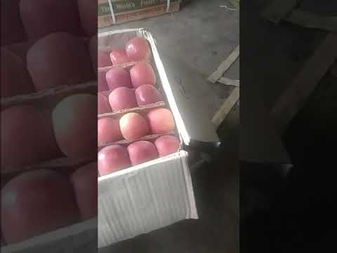 Tasmiya fruit  marchent