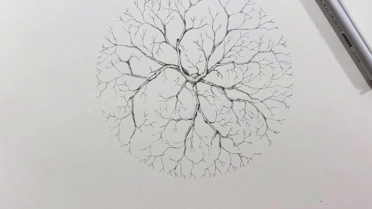 Top View Tree - Architectural Drawings