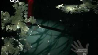 THE SECRET MACHINES - Road Leads Where It Is Lead.mpeg