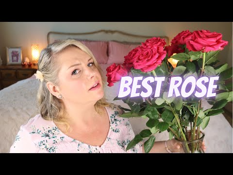 TOP 10 ROSE FRAGRANCES FOR 2022 | BEST ROSE PERFUMES & DECLUTTER (5 GONE!) | Laura Sparkles ✨