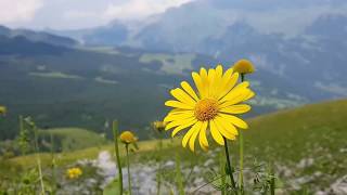 심규선 Lucia - 내 맘 속의 눈물 Tears in my heart