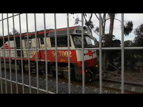 4BM9 train with SCT002 & SCT004 at Cragieburn