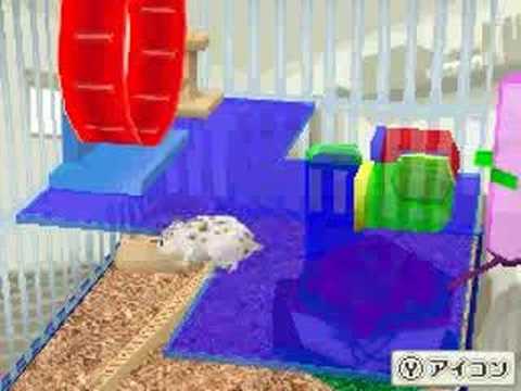 ハムスターと暮らそう