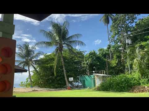 Island Escape: Discover the Untouched Beauty of Tobago's Beaches