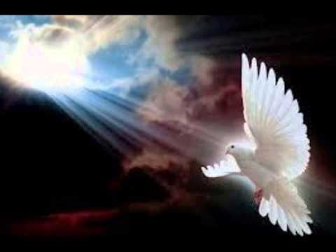 bertjan  vlieg maar weg