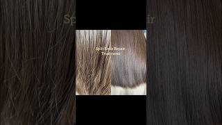 Download lagu Split Ends Repair Treatment | Hair care | LITTLE TIPS  #shorts #shortsfeed mp3
