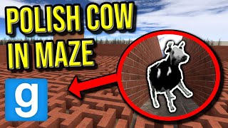 POLISH COW MEME IN MAZE!! (Garrys Mod Nextbot)
