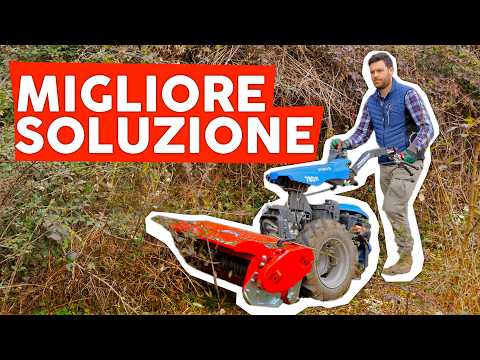 How to ELIMINATE BRAIDS and GRASS from your LAND