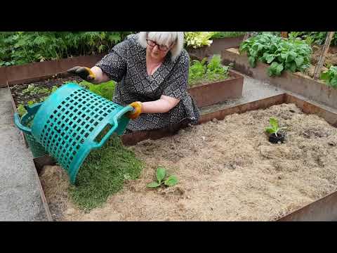 Marktäcka med gräs