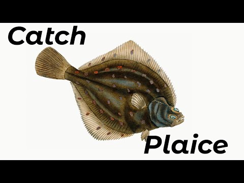 How To Catch Plaice (Shore Fishing UK and Europe) - Beginners And Improvers - Sea Fishing Tutorial