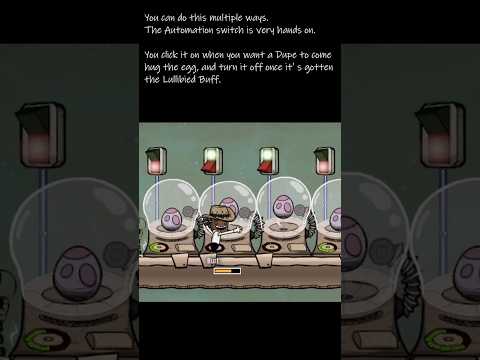 Incubators work how? - ONI Tips