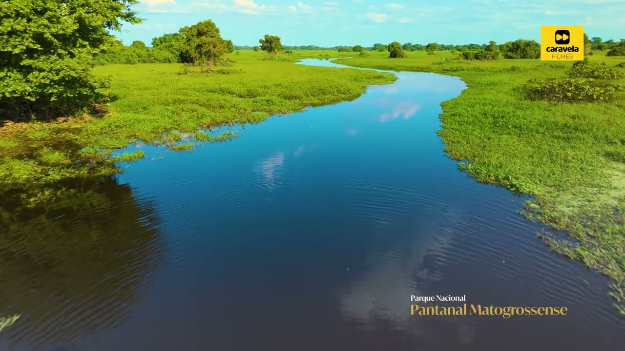 Pantanal