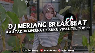 Download lagu DJ KAU TAK MEMPERHATIKANKU RINDUNYA HATIKU RINDU INGIN BERTEMU BREAKBEAT LDR MERIANG VIRAL TIKTOK mp3