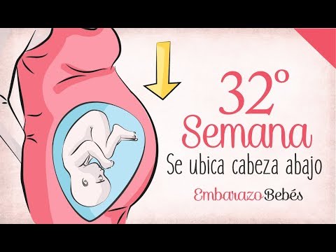 Week 32 of #Pregnancy | 8th Month | Week by week