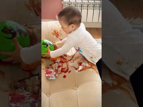 23 ноября 2025 г.