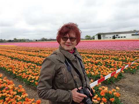 Gewusst wie - Jürg Hochweber