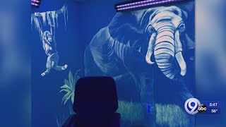 Black-light mural brightens medical office in Ithaca