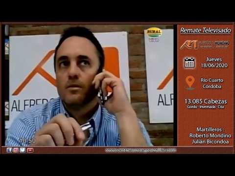 18-06-20 - Remate Televisado de Alfredo S. Mondino - Río Cuarto, Córdoba