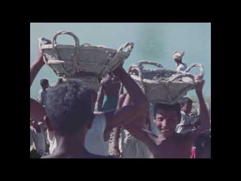 Surviving Cyclones (1973)