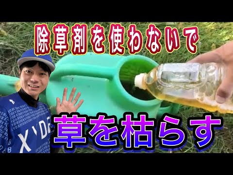 雑草マルチを取り除く