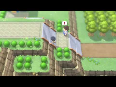 Quick Route 213 Tutorial for Pokémon Brilliant Diamond and Shining Pearl Speedruns!