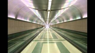 The Sinner - Cameron Seddon (orig Orbital)