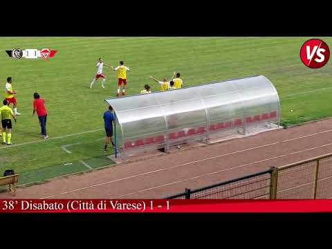 Highlights Casale - Città di Varese 1-2