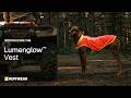 Ruffwear Lumenglow High-Vis Vest