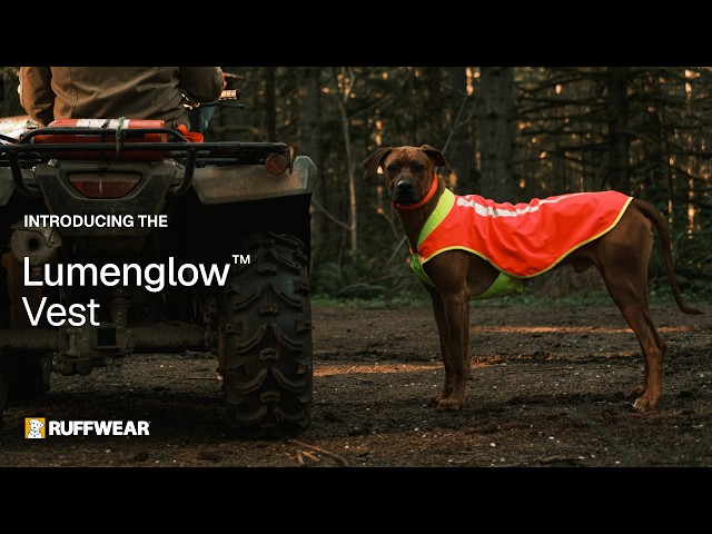 Ruffwear Lumenglow High-Vis Vest