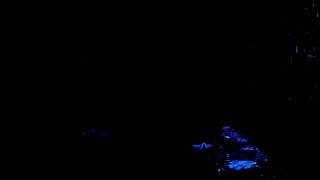 Resident Evil Operation Raccoon City - Vector Camouflage Optique - Invisibility