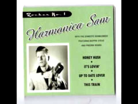 harmonica sam with the domestic Bumblebees - it's all your fault