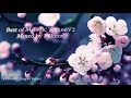 Best Of Melodic Techno V2 Boris Brejcha N To Mees Dierdorp Nick Devon Audiomolekül Jobe