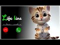New Cute Cat Message Ringtone Message Tone Cute Sms Ringtone Love Ringtone Notification Tone