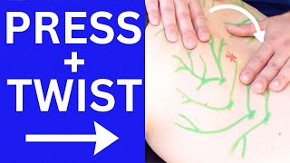 Quick Back Pain Relief Massage | Dermo Neuro Modulation