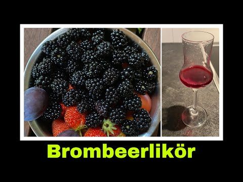 Brombeerlikör aus frischen Brombeeren selber machen | Selbstversorgung: fruchtiger Likör